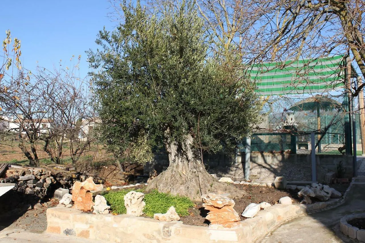 Huerta Espinar - Casa rural con piscina privada Villa Archidona 0*,  España